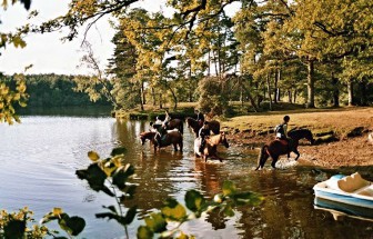 Centre équestre de malesse, Camping en Corrèze