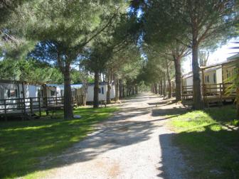 CAMPING LA MASSANE, Camping dans les Pyrénées-Orientales